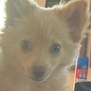 Meet your Posher, Jack